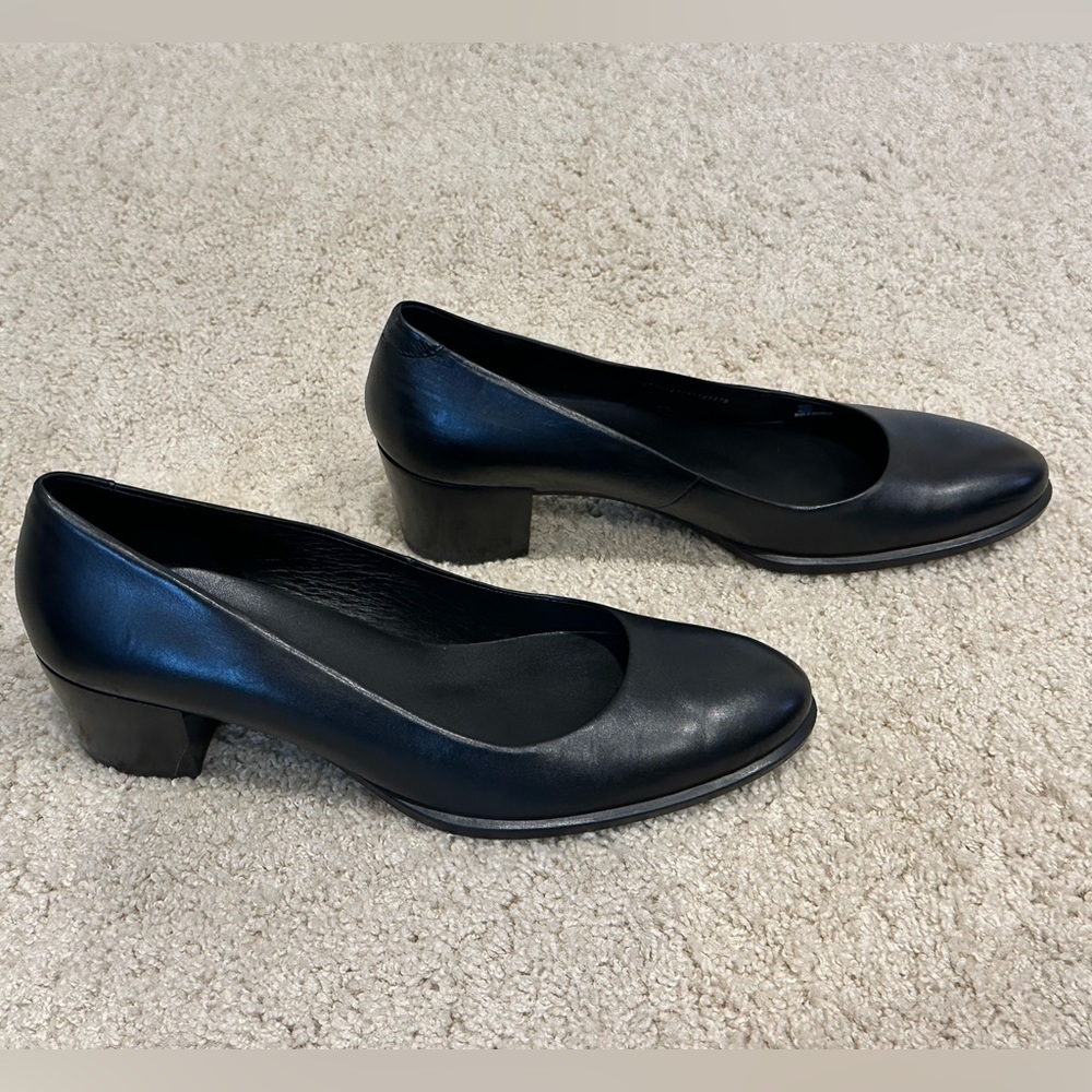 Ecco Heals - image 2